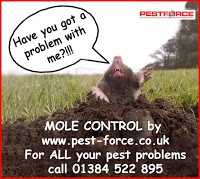 Mole Catcher West Midlands 371781 Image 0